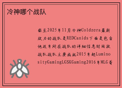 冷神哪个战队